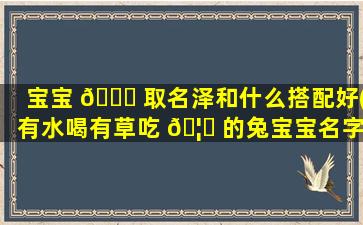 宝宝 🐅 取名泽和什么搭配好(有水喝有草吃 🦄 的兔宝宝名字)